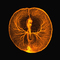 Cévní systém dva dny starého kuřecího zárodku. Snímek využívající fluorescenční značení ukazuje způsob, jakým embryo získává živiny z vaječného žloutku. Foto: Vincent Pasque, University of Cambridge.