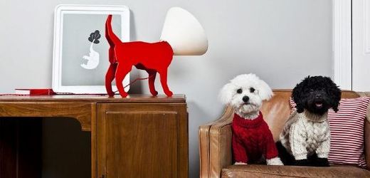 Sympatická lampa vznikla exkluzivně pro Red Dog Store.