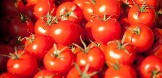 Žádný z laboratorních testů neobjevil původ závady cherry rajčat z Maroka (ilustrační foto).