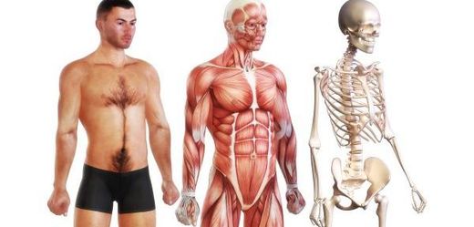 Vyznáte se v kostech a svalech?