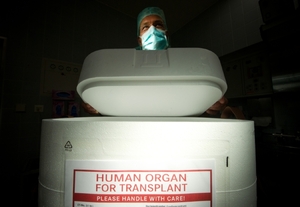 Přeprava orgánů určených k transplantaci.