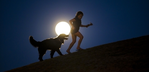 Dívka z Madridu si v měsíčním svitu hraje se psem. (Foto: ČTK/AP)