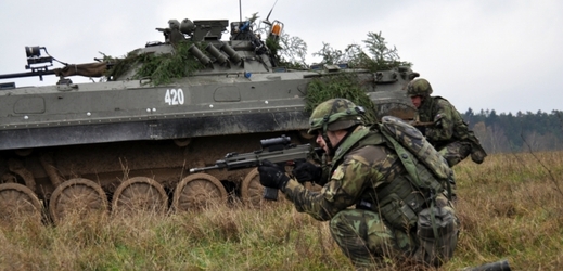 Mezinárodní vojenské cvičení NATO SABER JUNCTION II 2013 v německém Hohenfelsu.