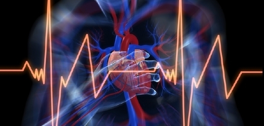 Slovenští vědci a jejich kolegové z univerzity v britském Cardiffu odhalili část struktury lidské bílkoviny, jejíž porucha vyvolává srdeční arytmie (ilustrační foto).