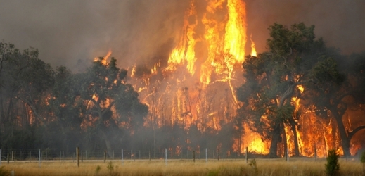 Lesní požár Bunyip Ridge v australském státě Victoria 7. února 2009. 
