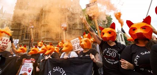 Lidé v maskách lišek demonstrovali před parlamentem.