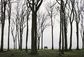 Vista
Autor: Martin Faltejsek (volný fotograf)Kategorie: Lifestyle
Březnový víkend s kamarády. "Strašidelný les" - Gespensterwald, Rostock, Meklenbursko-Přední Pomořansko. Zajímavější bukový les budete těžko hledat.