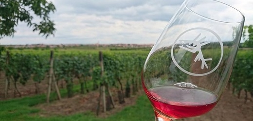 Letní slavnosti autentických vín ve Velkých Bílovicích budou probíhat od 28. a 29. července.