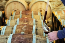 Cena za roční výlet do světa vinařů stojí 100 tisíc kroun.