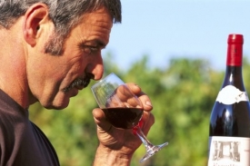 Na trh míří 175 vzorků Svatomartinských vín, sedmina neuspěla.