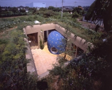 Soft & hairy house