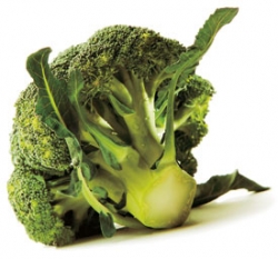 Přílohou může být třeba brokolice.