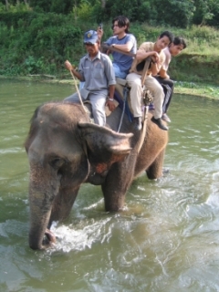 Projížďka na slonu.