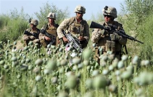 Vojáci NATO patrolují v afghánských makových polích.