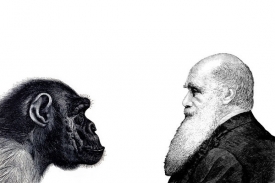 Darwin pomohl lidstvu uvědomit si svou evoluční minulost.