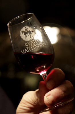 Loni vinaři udali 700 tisíc lahví Svatomartinského.