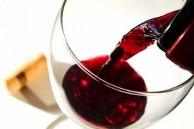 Vína od tuzemských vinařů uspěla na soutěži v Izraeli.