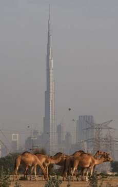 Symbol ambicí: Burdž Dubaj, čerstvě nejvyšší stavba světa.