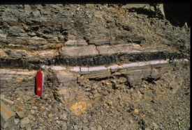 Vrstvička bohatá na iridium pochází z doby vyhynutí dinosaurů.