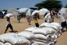 Podle vyšetřovací zprávy OSN zmizí polovina pomoci dodávané Somálsku.