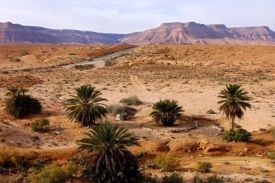 Typická pouštní krajina zemí Maghribu, kde mají bojovníci základnu.