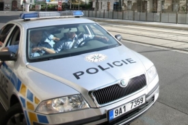 Řidič chtěl utéct policistům skokem do Vltavy (ilustrační foto).