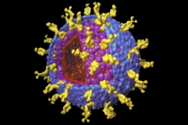 Rotavirus – na pohled krásný, ale pro malé děti nebezpečný.