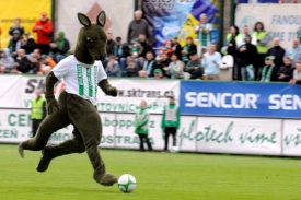 Spor o klokana má podle Střížkova vyřešit UEFA.