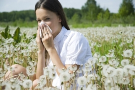 Příroda dává alergikům zabrat. Od jara do podzimu.