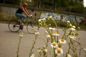 Karlovajský kraj podpoří zdejší cykloturistiku.