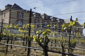 Výrobce vína Znovín ohlásil nižští tržby i zisk.