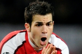 Kapitán Arsenalu Cesc Fabregas.