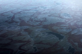 Ropa by mohla způsobit na pobřeží Louisiany ekologickou katastrofu.