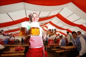 Pivní festivaly bývají oblíbené (ilustrační foto).