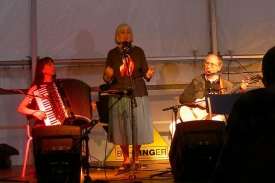 Švédští harmonikáři na festivalu (ilustrační foto).