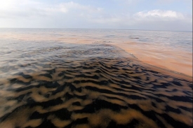 Ropná skvrna začala ohrožovat ekologické systémy na pobřeží USA.