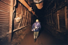 V době výbuchu pracovalo v šachtě přes 200 lidí (ilustrační foto).