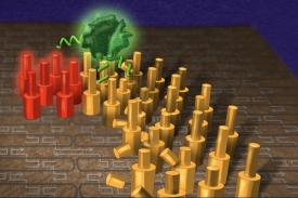 Robot z DNA (zelený) kráčí po vytyčené trase (žlutě) k cíli (červeně).