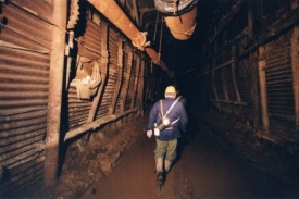 Těžební firma NWR vlastní zejména ostravské černouhelné doly.