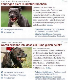 Opět panika? Články o durynském neštěstí v Die Welt.