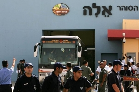 Aktivisté v autobusech před deportací z Izraele.