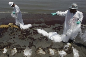 Dobrovolníci se snaží čistit pobřeží zasažené ropnou skvrnou.
