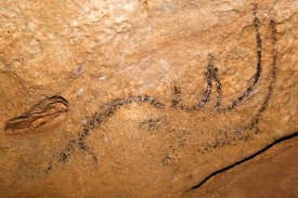 Jeskynní malby zachycují zvířata. Mnohá z nich už v Evropě nežijí.