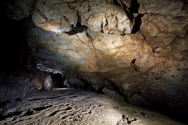 Jeskyně Coliboaia leží v národním parku Apuseni.