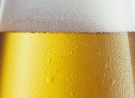 Až o korunu letos zdražily české pivovary půllitr piva.