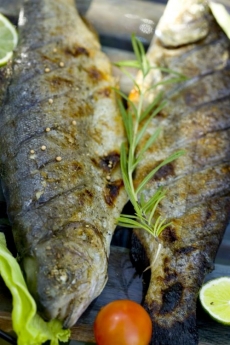 Dravé ryby mají křehké a jemné maso.