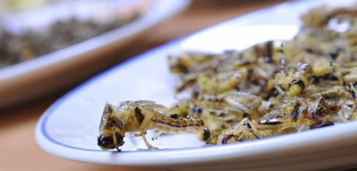 Pro Asiaty nejsou sušené kobylky v jídelníčku ničím výjimečným. 