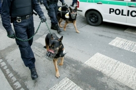 Bomby hledají i policejní psi.