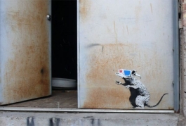 Banksyho krysám jde o život.