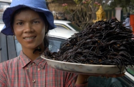 Turisté v Kambodži často touží ochutnat místní specialitu tarantule.